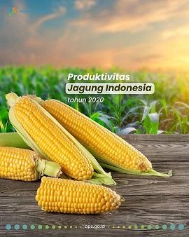 Produktivitas Jagung di Indonesia