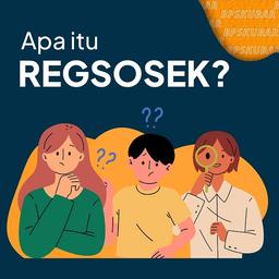 Apa Itu Regsosek?